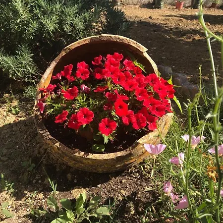 Bella Vista And شقة فندقية