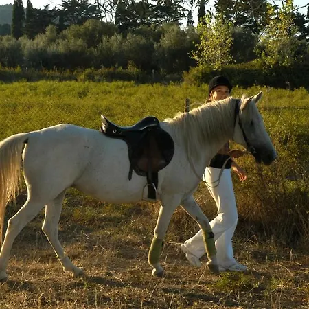 Bella Vista And 3* Lixouri